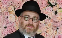 שימי סגל מונה לדובר חב"ד בישראל