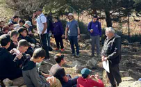 "חלקת נצח ירושלים" לצד חקלאות בדואית
