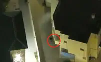 Infiltrator attempting to escape police officers caught by drone