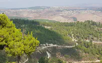 "אם לא נתעורר, נאבד את הגליל"