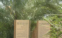 פותחים שבוע בתיירות