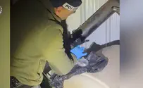 צפו: אקדח אותר בתוך מלונת כלבים