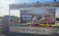 שתילים יינטעו במגרש המכוניות השרופות