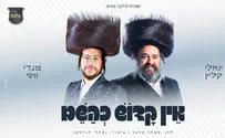 הביצוע המקפיץ של מנדי וייס ויואלי קליין