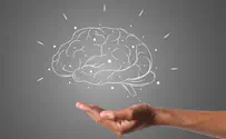 Can you ןncrease your IQ? The truth about boosting brainpower