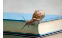 ספר חדש: מדרגות זכוכית