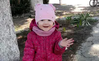Little Brachi needs your help