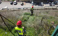 Special search held for girl missing from Tzfat
