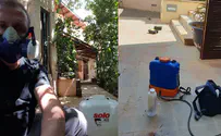 אביב הגיע, ולא רק פסח בא. הגיעו המזיקים