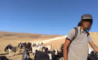 Jewish shepherd attacked in Gush Etzion