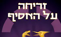 ספר חדש: זריחה על האסיף
