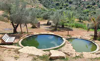 מועצת בנימין נערכת לקליטת אלפי מטיילים