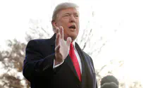 Вес Дональда Трампа 101 кг. Данные медицинского заключения