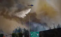 'Go out and burn the forests - for Gaza'