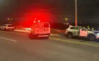 חשוד בגניבת רכב התנגש ברמזור - ונהרג