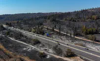 KKL reveals: The Jerusalem hills following the massive wildfire