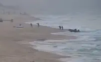 "לתאר הלוחמים ככשל העיקרי זה לחטוא לאמת"