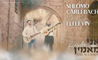 Carlebach & Levin: Stunning 'Ani Maamin' Duet