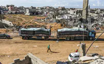 Humanitarian aid trucks in Gaza looted amidst gunfire