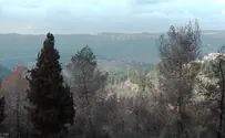 Jerusalem residents battle plan threatening key nature zone