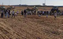 בעוטף ציינו את חג הביכורים בגאווה בשדות