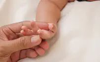 צעדים ראשונים בהורות: איך לבחור נכון?