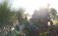 Footage from the Syrian villages of Mt. Hermon