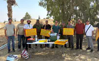 8,000,000 square meters declared as state lands