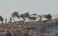 Arab and leftist mob attack Jewish shepherd