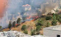 Forest fire in Jerusalem forces children to evacuate