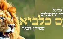 עמירן דביר ופרחי ירושלים שרים "עם כלביא"