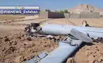 IDF confirms: Iran downed Israeli UAV over Isfahan