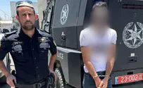 פעילים זרים במסווה של תיירים