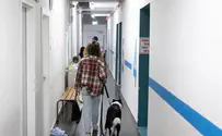 מנע מאדם להיכנס למקלט ועוכב על ידי המשטרה