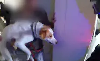 Watch: Officers rescue residents and pets after missile strike in Tel Aviv