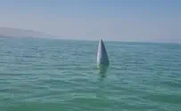Intercepted missile discovered in Kinneret