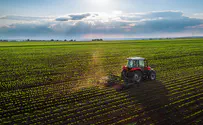 דו"ח חדש מציג: קיפאון בהיקף שטחי החקלאות
