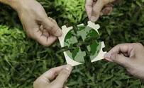 The eco-friendly impact of food waste recyclers