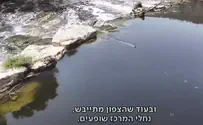 הצפון מתייבש אחרי חורף קשה