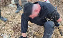 Пастух помог поймать угонщика автомобиля. Подробности