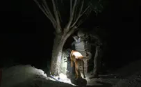 "התפללנו להצלחת המשימה ואז קפצנו לרכבים"