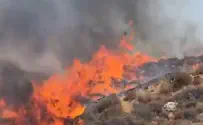 Пожар возле поселения Эфрат - из-за умышленного поджога