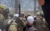 Хаос на границе с Сирией. Штурм пограничного забора. Видео