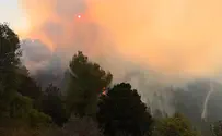 Forest fire rages in the Jerusalem mountains