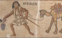 How secrets of the Byzantine Negev wine economy were deciphered