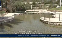 הקרב שמייבש את עין הנצי"ב