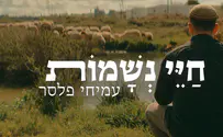 "חיי נשמות" - שיר חדש של עמיחי פלסר
