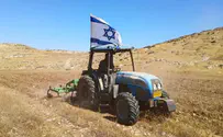 1,800 heroes need memorial vineyards by August 9th