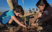 1,800 Murdered - 48 Hours to Plant Memorial Trees