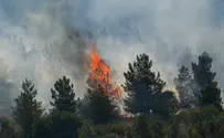 Firefighters battle blaze near Beit Shemesh